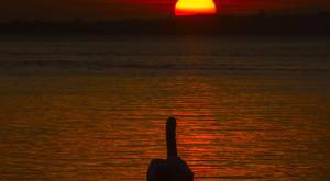 Picture - Kevin Scott / Belfast Telegraph

Tuesday 29th September 2015, Belfast , Northern Ireland - Weather 

Pictured is the sun as it sets over Lough Neagh in County Antrim tonight as the warm Autumnal weather is due to last throughout the weekend.

Picture - Kevin Scott / Belfast Telegraph