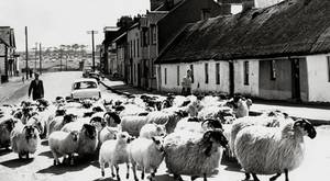 Groomsport - 28 May 1958